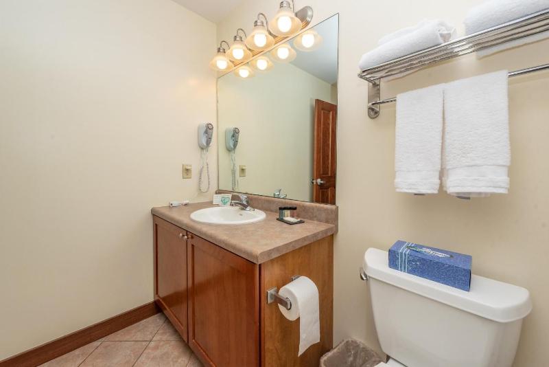 A116 One Bedroom Standard View - image 12