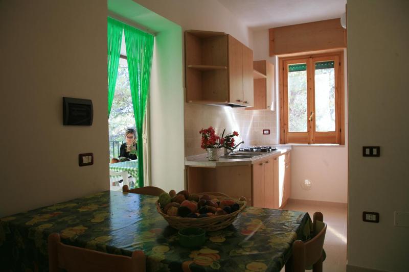 One-Bedroom Apartment image 4