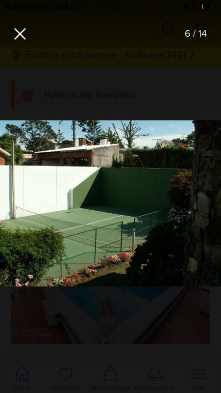 Palmeras del Verdun - image 4