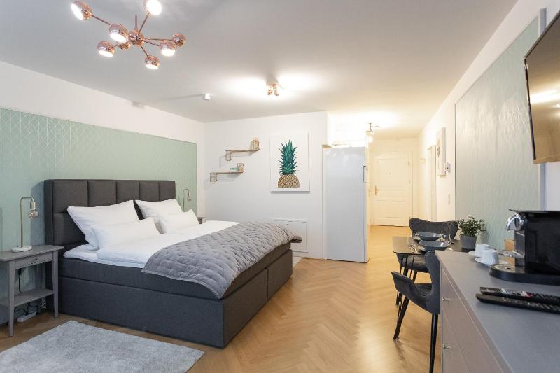 New Luxus Studio - 10min Centre - Markus apartment - image 4