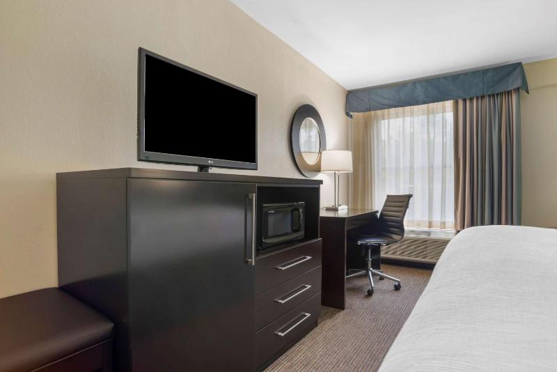 King Room - Non-Smoking image 4