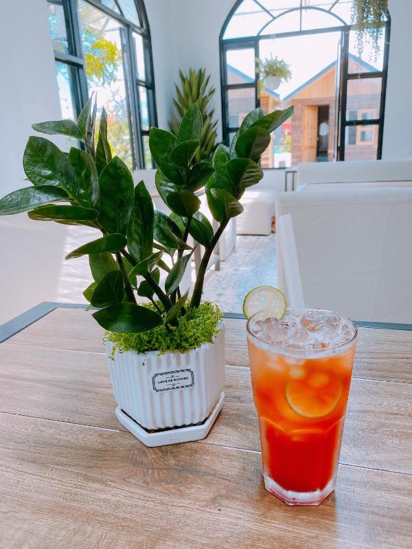 Lacasa home&coffee Mộc Châu - image 17