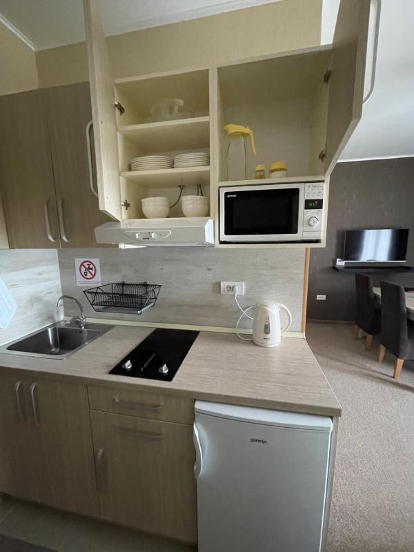 Superior Apartment image 4