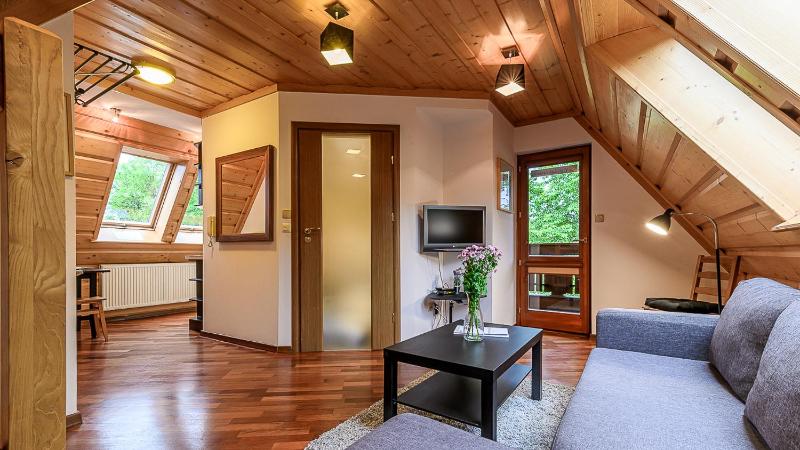 VisitZakopane - Tetmajera Apartment - image 10