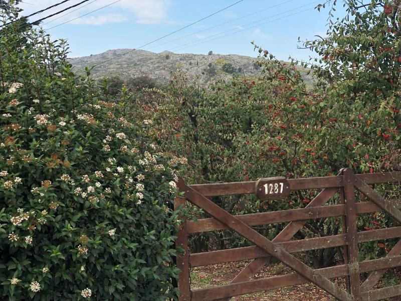 Quinta Ecuador Tandil - image 7