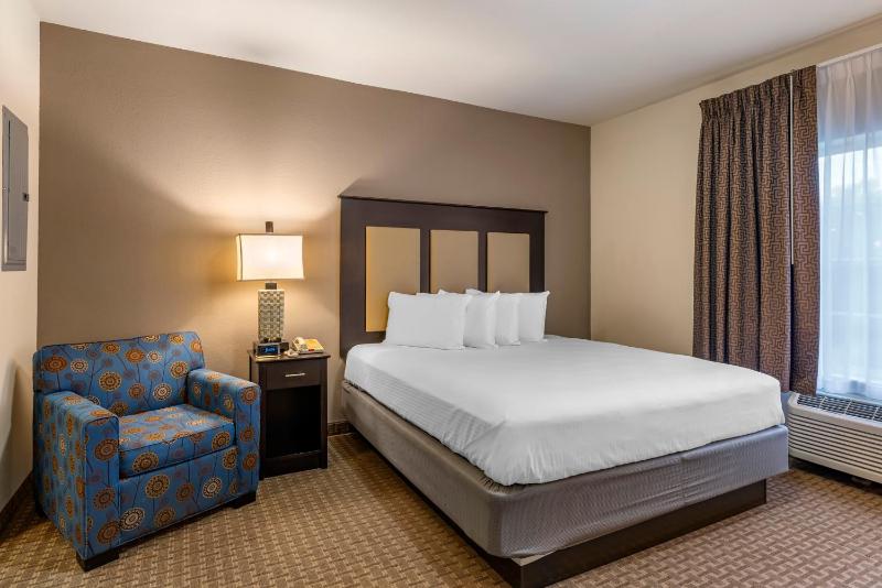 Standard Suite image 4