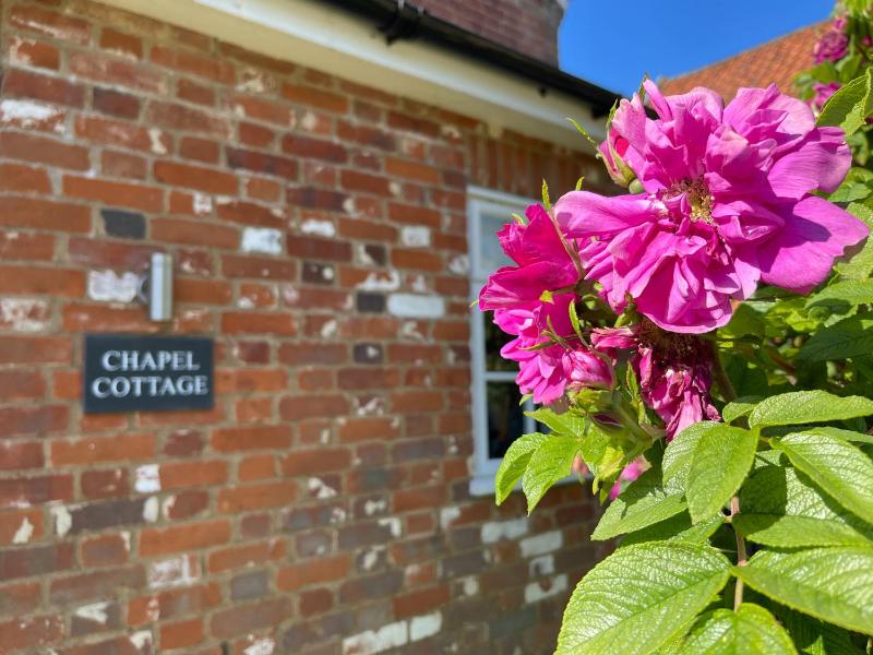Chapel Cottage Newbourne - image 20