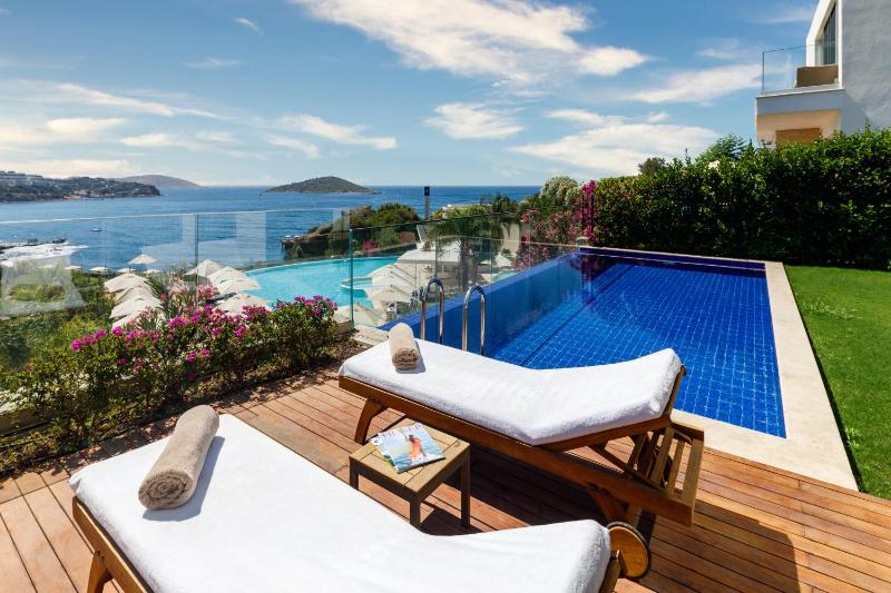 Executive Villa with Private Pool image 3