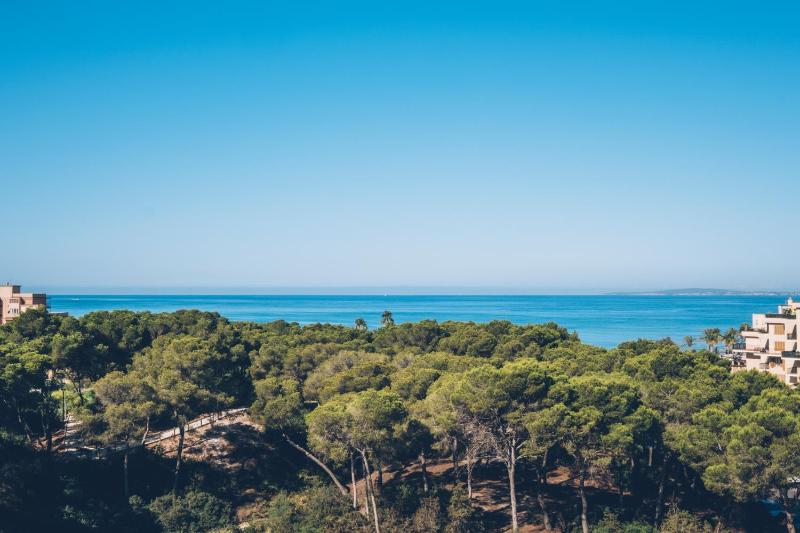 Double Room with Sea View image 3