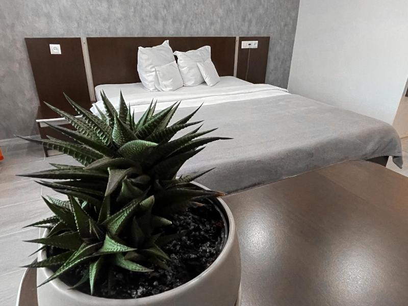 Superior Single Room image 3