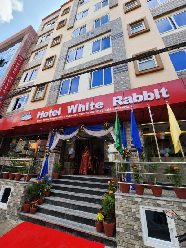 Hotel White Rabbit - image 1