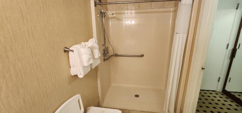King Room with Roll-In Shower - Mobility Access/Non-Smoking image 2