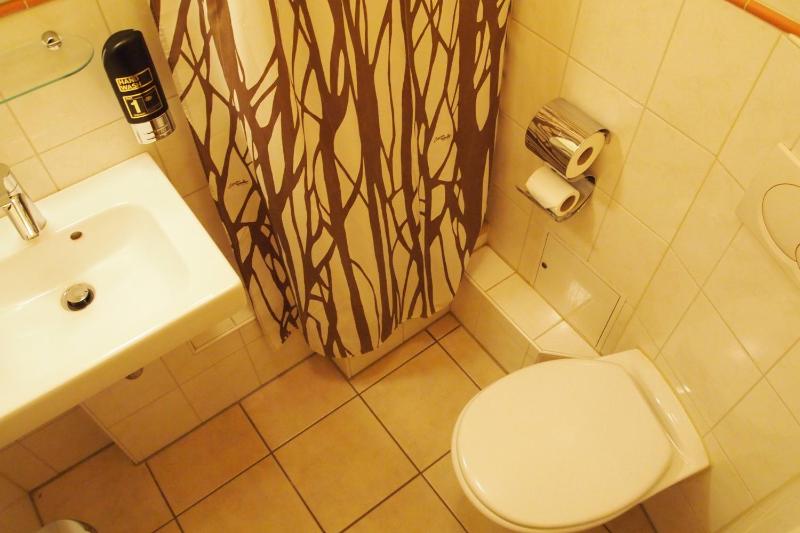 Single Room image 3