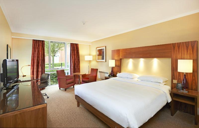 King Deluxe Room image 3