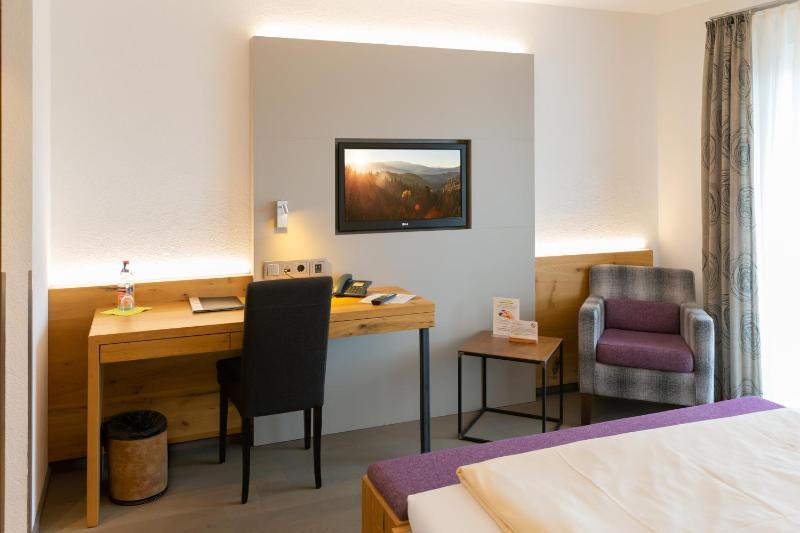 Large Single Room image 3