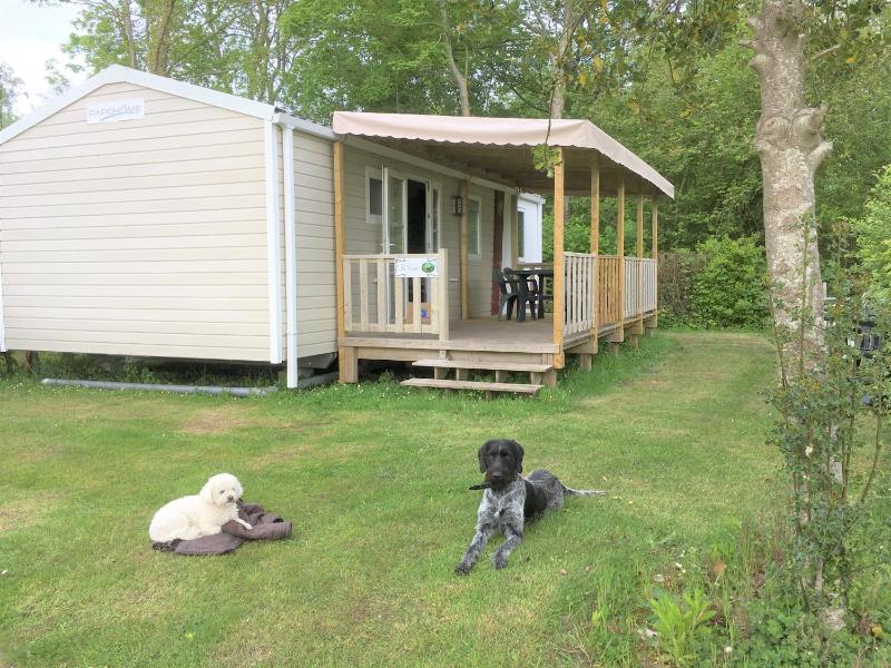 Mobile Home image 2