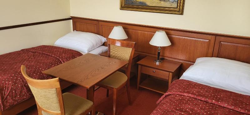 Standard Twin Room image 4