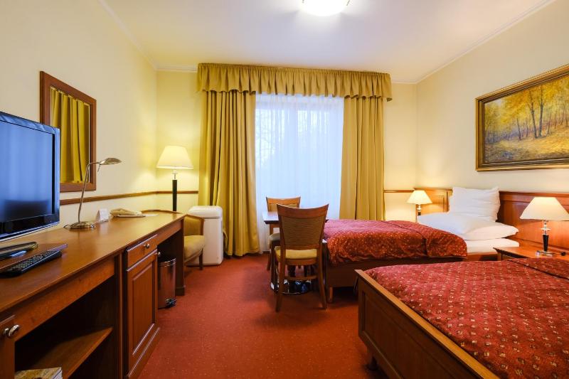 Standard Twin Room image 3