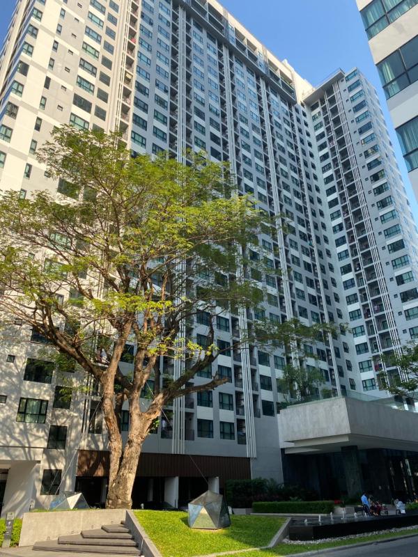 The Base in pattaya - image 48