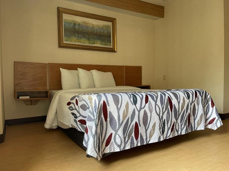 Deluxe Room with One Queen Bed Disability Access Non-Smoking image 1