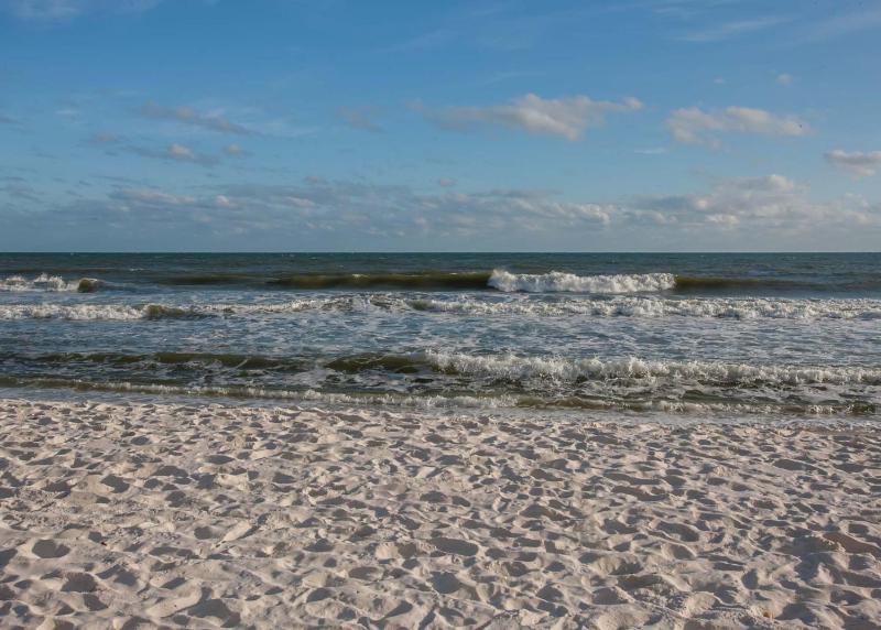 Surfside Shores 1302 - image 9
