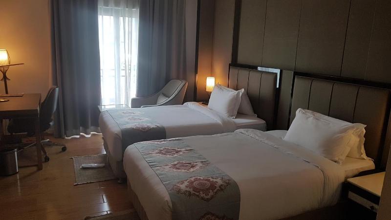 Check Inn Hotel Addis Ababa - image 11