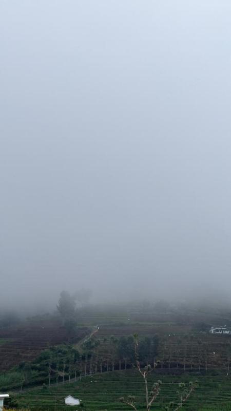 ATTUVAM VISTA - image 6