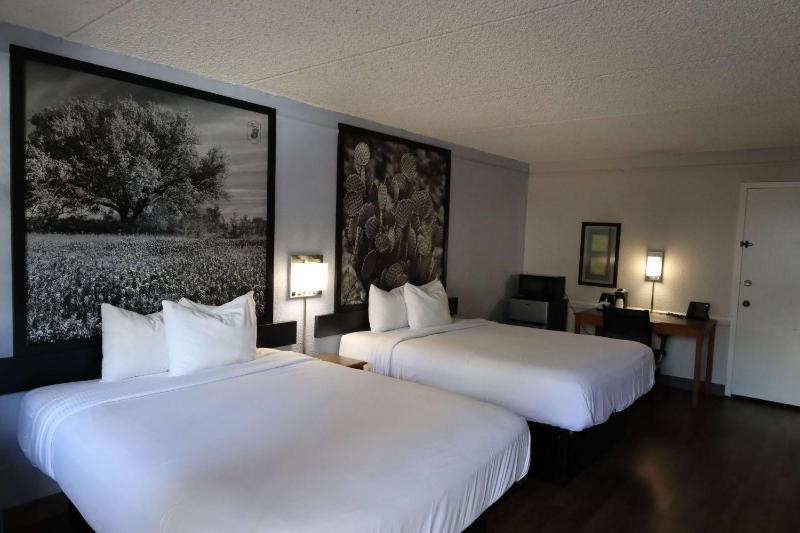 Super 8 by Wyndham Austin South - image 6