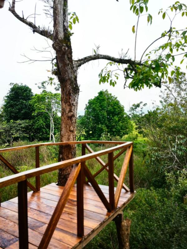 Onca Tours & Treehouses - image 15