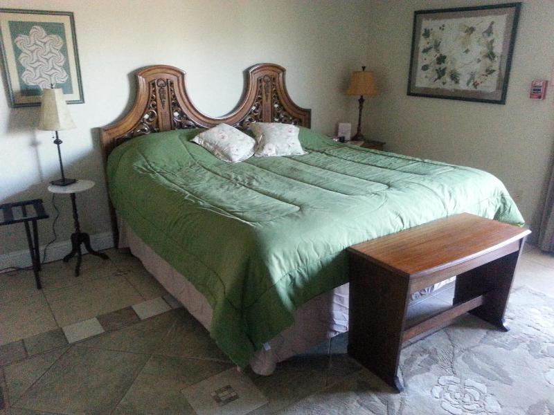 Superior King Room image 2