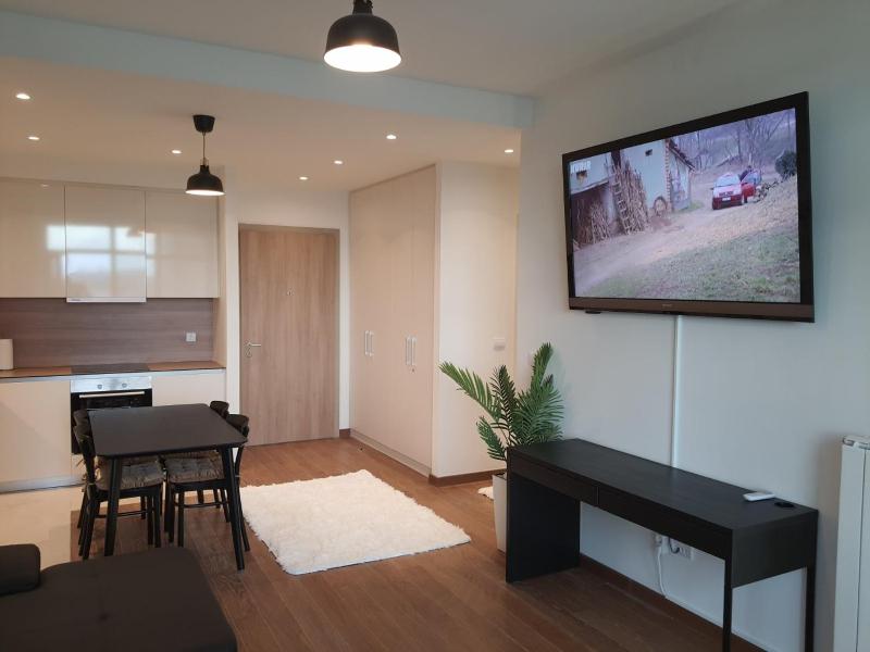 Apartment with Terrace image 4