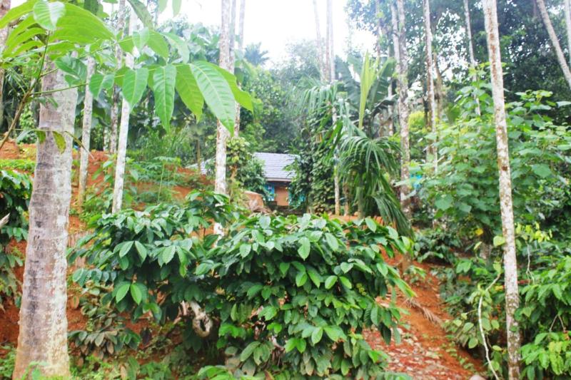Unnamed property - image 9