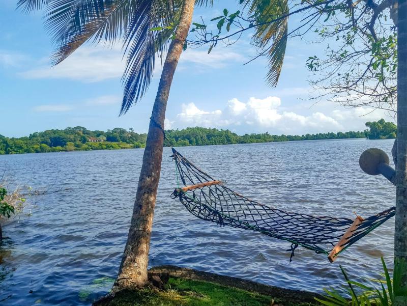 Sunkis lagoon Bentota - image 3