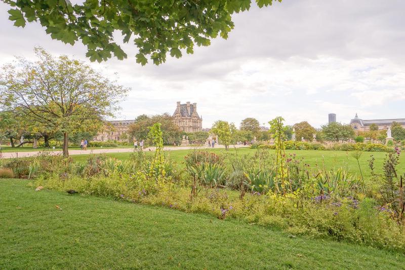 One-Bedroom Apartment image 2