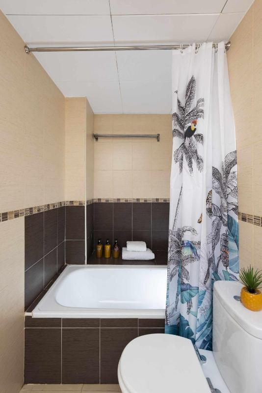 Deluxe Apartment image 3