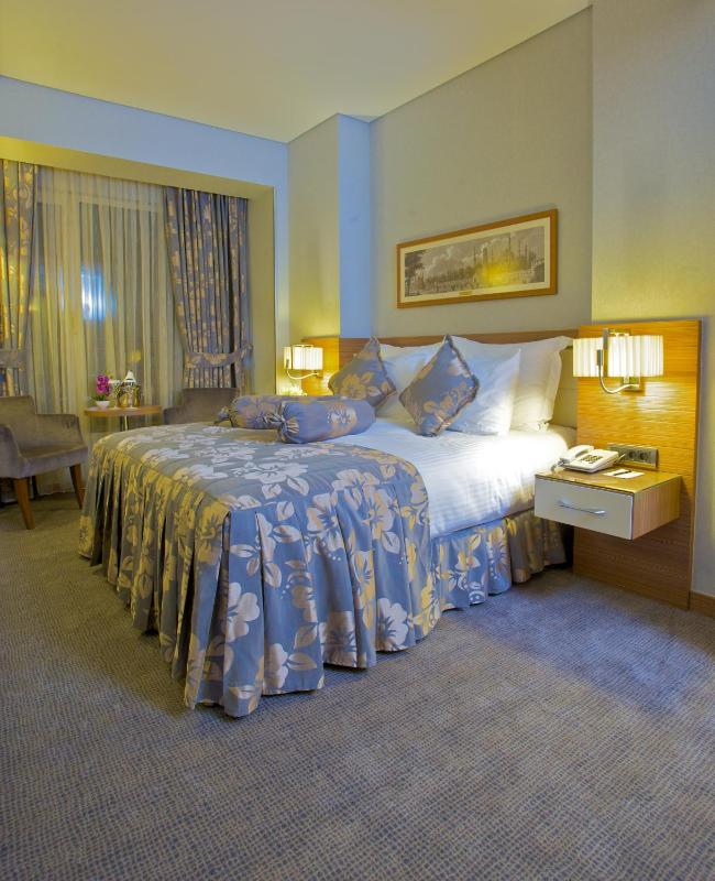 Economy Single Room image 3