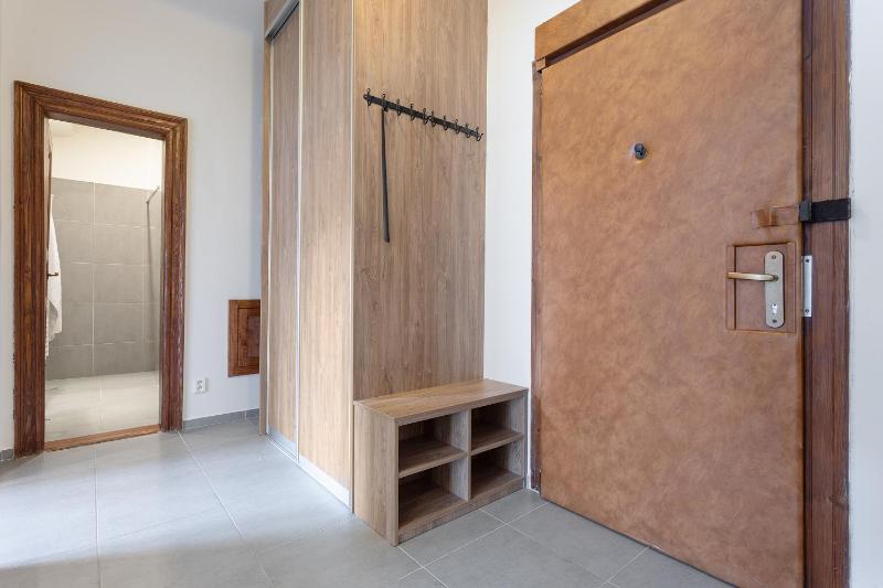 Bright and Spacious Attic Apartment - image 3