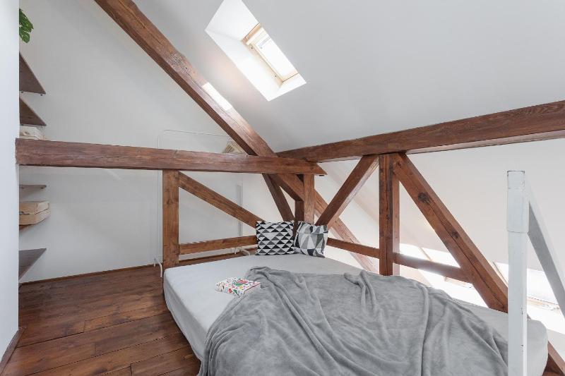 Bright and Spacious Attic Apartment - image 8