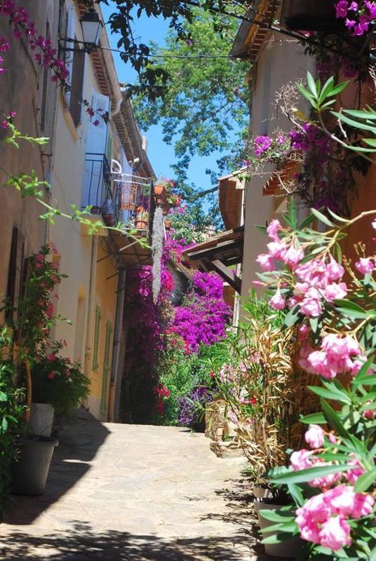 Hostellerie du Cigalou - image 23
