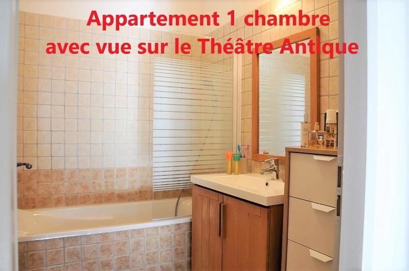 Holiday in Arles -Appartement du Théâtre Antique - image 6