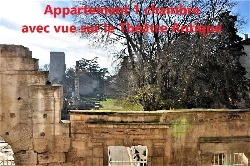 Holiday in Arles -Appartement du Théâtre Antique - image 23