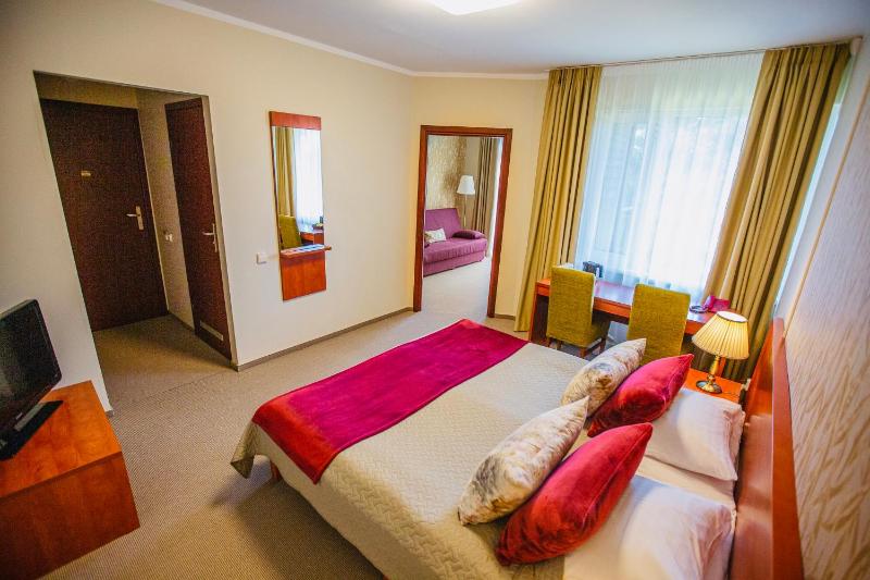 Superior Double Room image 3