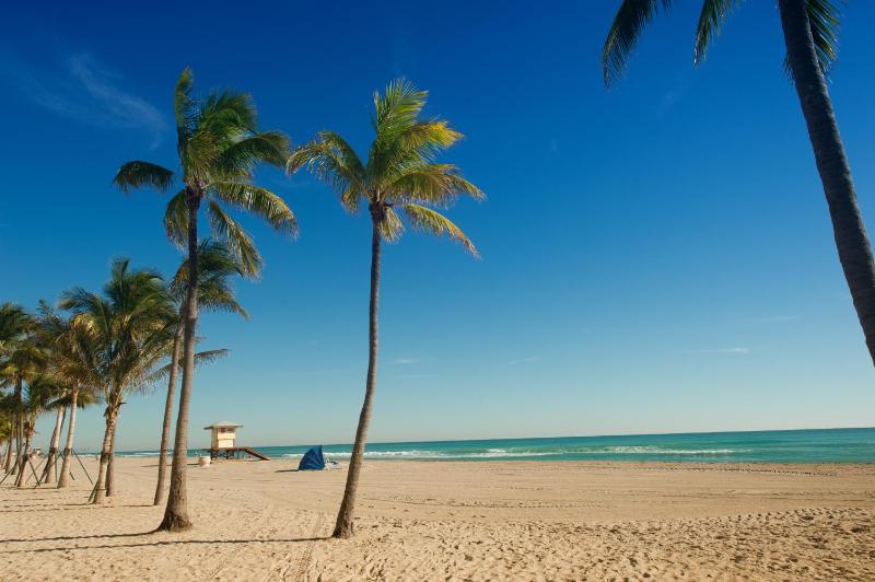 Hollywood Beachside Boutique Suites - image 9