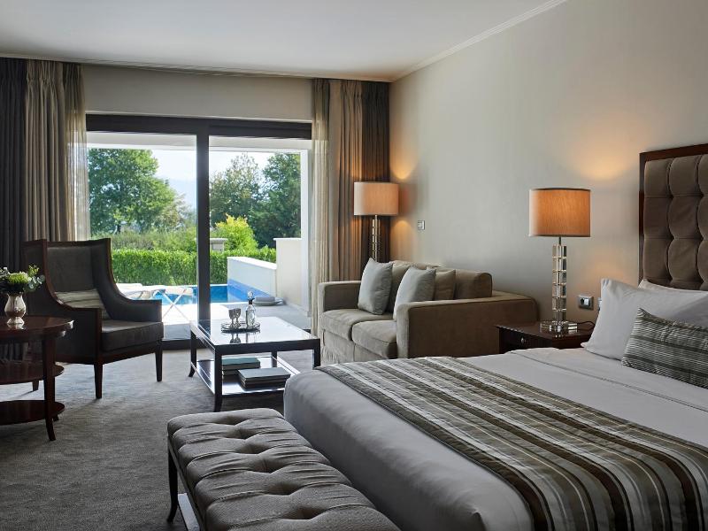 Executive Double Room with Private Pool  image 1
