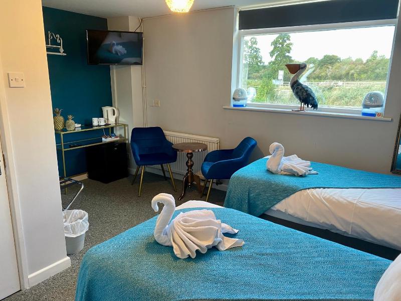 Double or Twin Room image 4