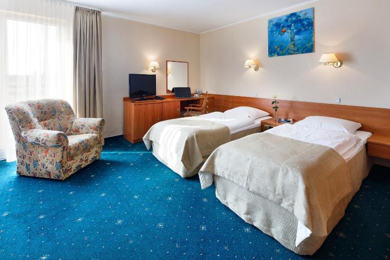 Double Room with Spa Access image 2