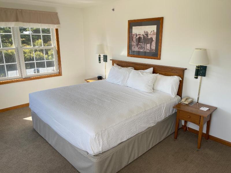 Honeymoon Suite One King Sofa Sleeper image 1