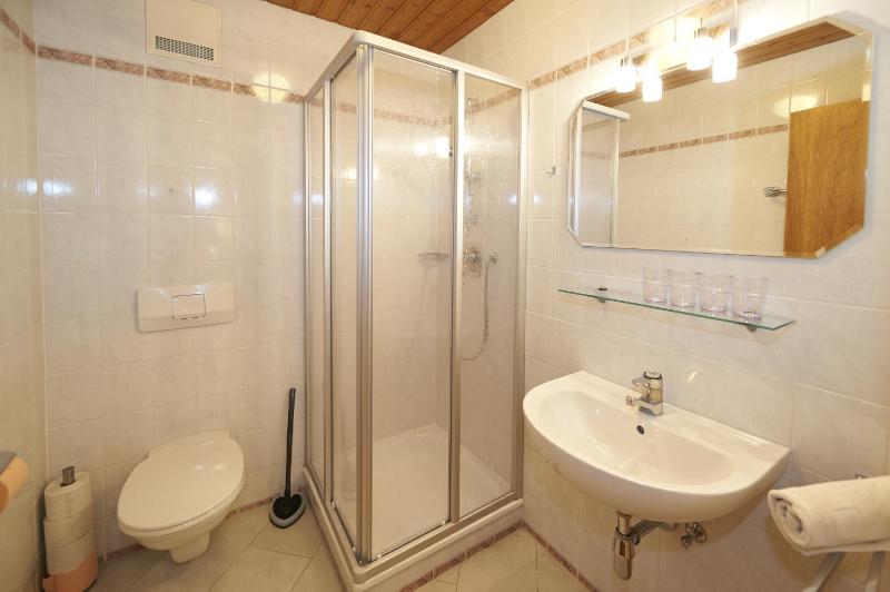 One-Bedroom Apartment image 2