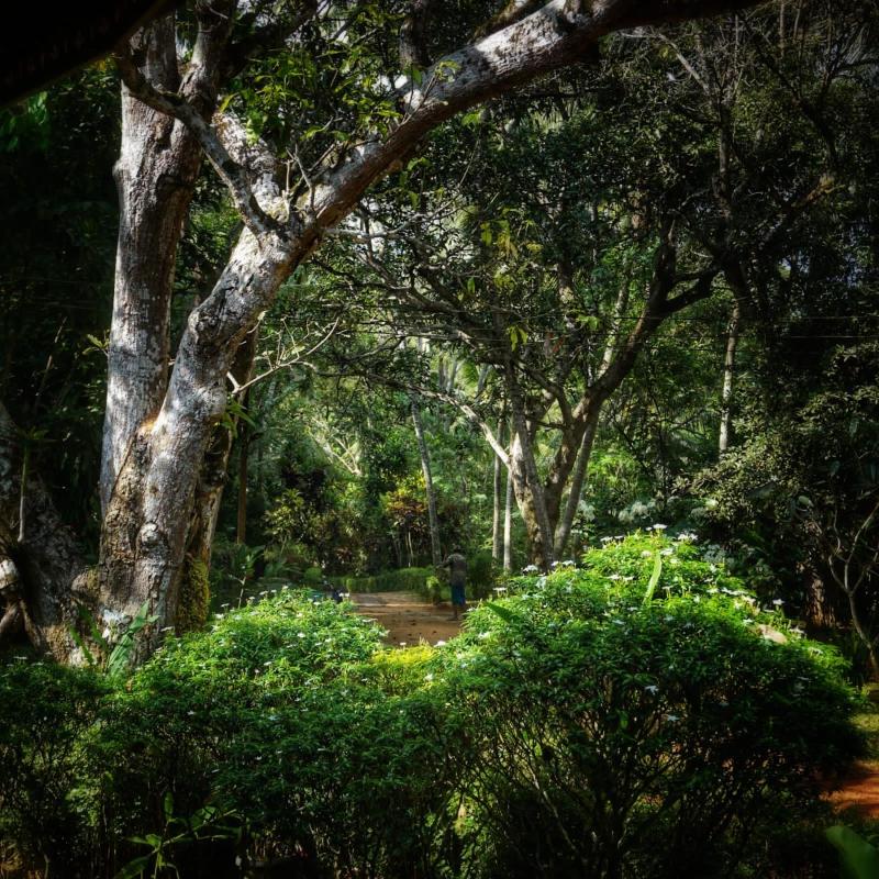 Sri Mathie Historic Estate - image 50