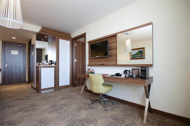 Deluxe Suite image 2